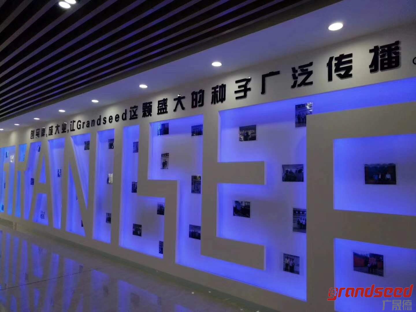 夜色在线视频大门